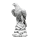 Aigle sur Rocher tête à droite