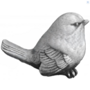  petit moineau tête droite