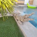 Statue en pierre crocodile 