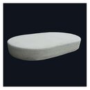 Base pour lion Mauritanie