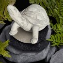 Statue Tortue tête levée