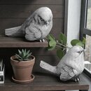  couple petits moineaux en pierre 