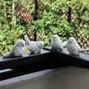  statues de petits moineaux par quatre