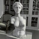  Buste femme Venus de Milo