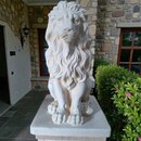 STATUE LION REGARD DROIT