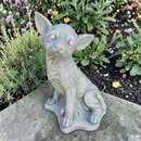 Statue Chien Chihuahua