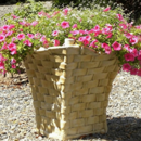 Vase grande hotte vendange