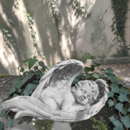 Angelot endormi dans ses ailes 