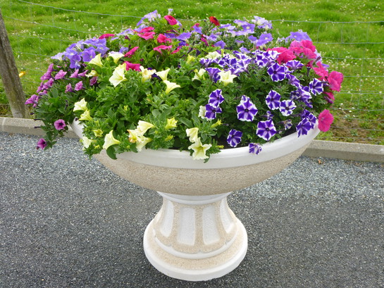 VASQUE PLUS PIED EN GRAVIER LAVE