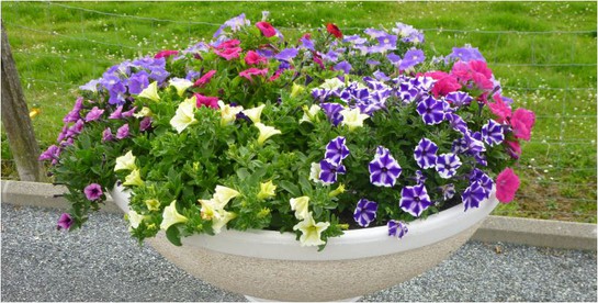 vasque en gravier lave 