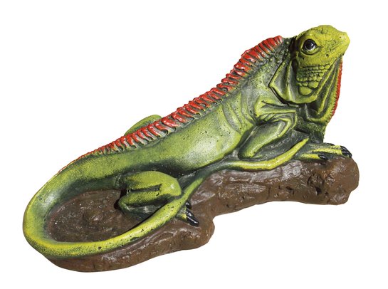 statue en pierre Iguane en couleur