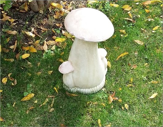 champignons grand et petits
