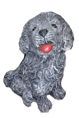 CHIOT GOLDEN RETRIEVER