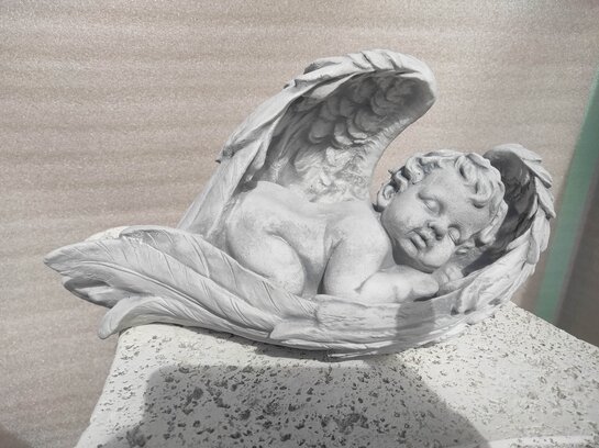 Angelot endormi dans ses ailes 