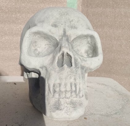 statue tête de mort lisse