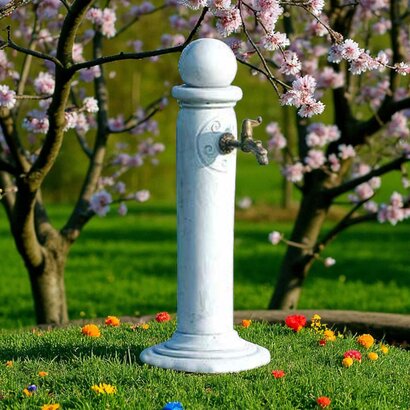 Fontaine centrale Misia