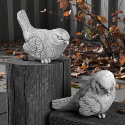  petits moineaux par deux