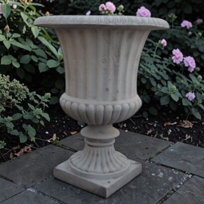 VASE MEDICIS