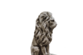 STATUE LION REGARD DROIT