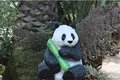 statue Panda