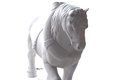  Cheval de trait