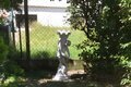 Statue Enfant tenant une Corne d'Abondance