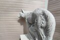 statue loup debout