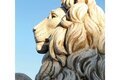 Statue en pierre couple de lions couchés sur socles