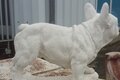 Statue chien Bouledogue Français