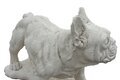 Statue chien Bouledogue Français
