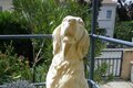 Statue Chien Setter