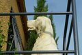 Statue Chien Setter