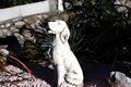 Statue Chien Setter