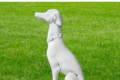 STATUE CHIEN LEVRIER