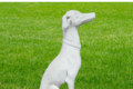 STATUE CHIEN LEVRIER