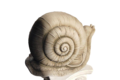 statue escargot de Bourgogne gris
