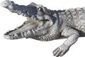 Statue en pierre crocodile 