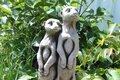 Statue Suricate en famille