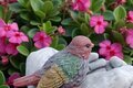 Mangeoire à oiseaux en pierre