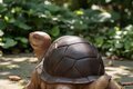 Statue Tortue en couleur grand modèle