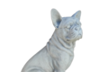 Statue chien Bouledogue 