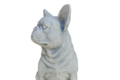 Statue chien Bouledogue 