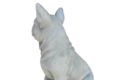Statue chien Bouledogue 