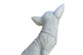 Statue Chien Chihuahua