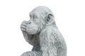 Statue Chimpanzé main sur la joue