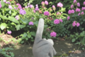 statue doigt levé