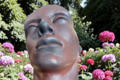Tête d'homme 55 cm