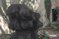  vaseTête d'homme 39 cm