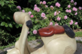 Vespa marron en pierre