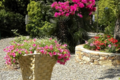 Vase grande hotte vendange